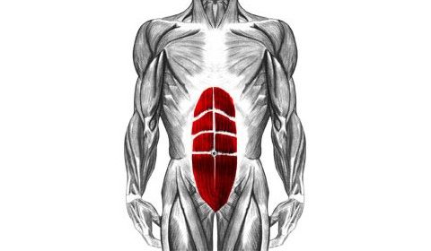 Perte de graisse abdominale et travail cardio à haute intensité Perte de graisse abdominale et travail cardio à haute intensité