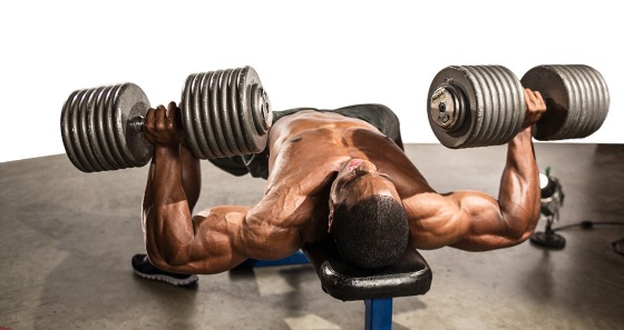 Le développé couché avec haltères Le développé couché avec haltères pour muscler les pectoraux