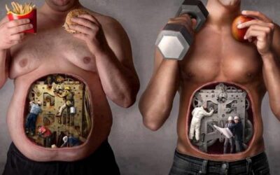 En finir avec l’inflammation intestinale et le ventre gonflé