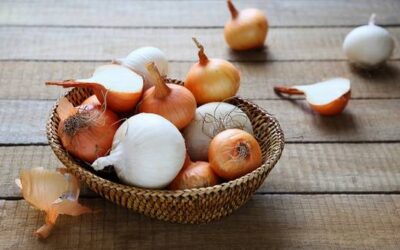 La quercétine, une prévention efficace contre l’ostéoporose