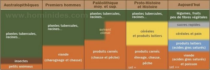 L'alimentation de nos ancêtres