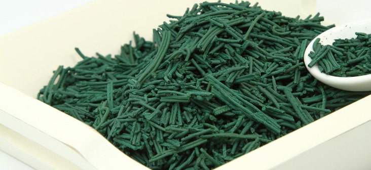 La spiruline et ses multiples bienfaits