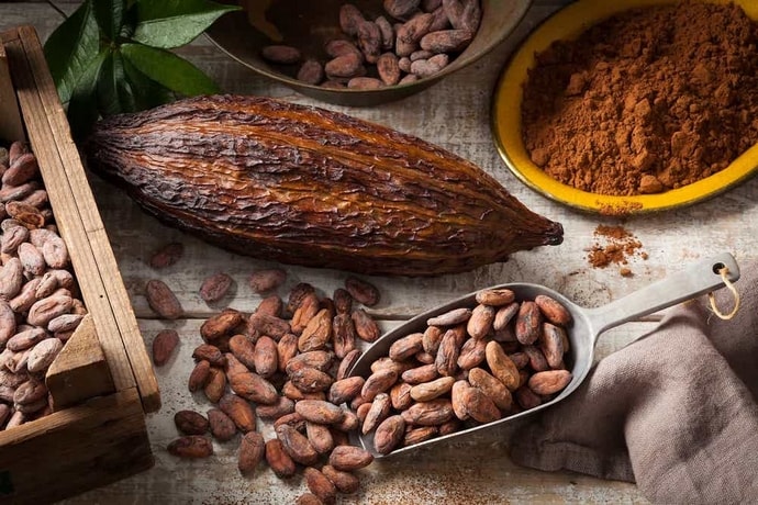 Graines de cacao, riches en antioxydants