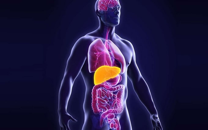 Le cholestérol : un ennemi qui vous veut du bien