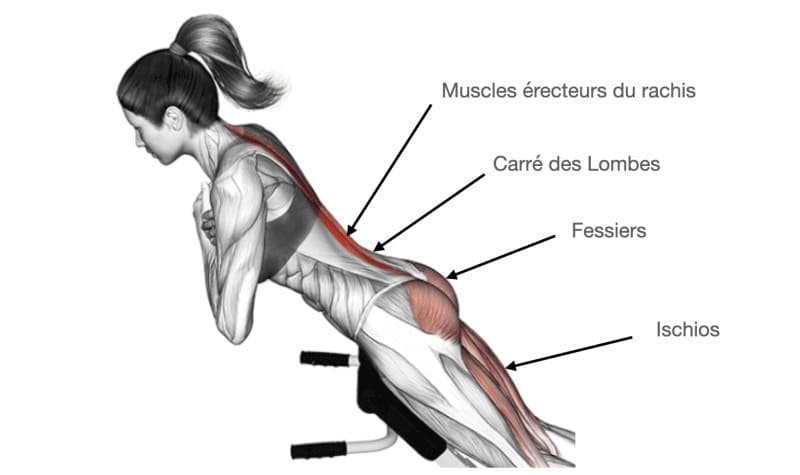 Comment réaliser correctement une hyperextension lombaire ?