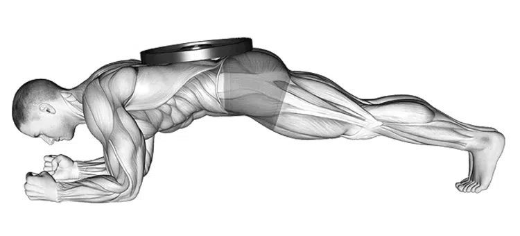 Exercice de planche lestée pour renforcer la sangle abdominale profonde et le muscle transverse