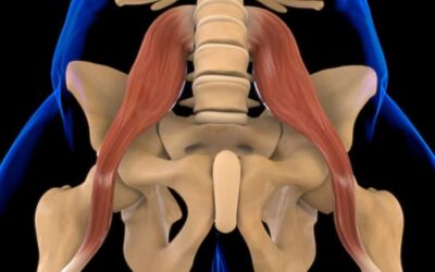 Psoas iliaque tendu : causes, symptômes et exercices pour le soulager