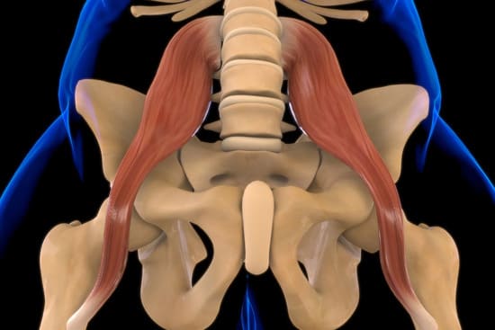 Psoas iliaque tendu : causes, symptômes et exercices pour le soulager