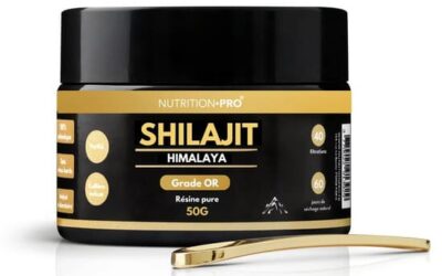 Shilajit et récupération sportive : ce que la recherche a réellement mesuré